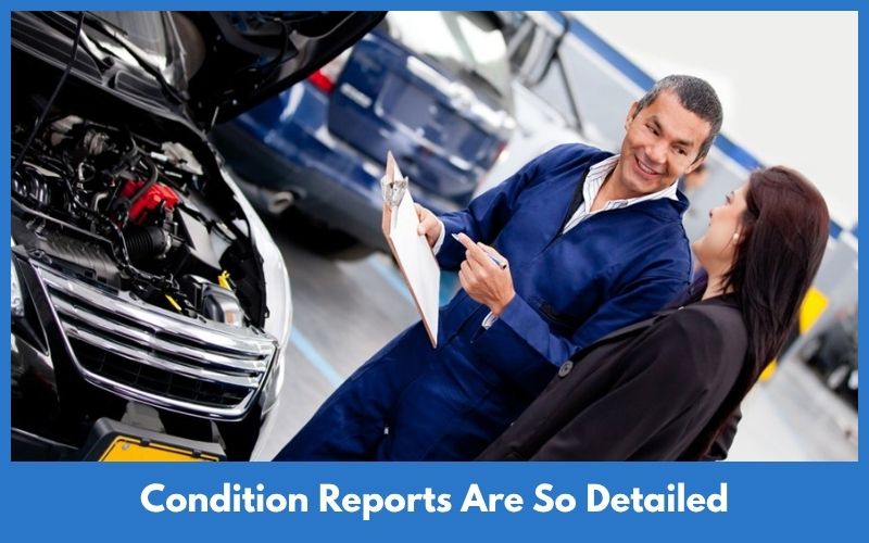 Condition Reports Are So Detailed